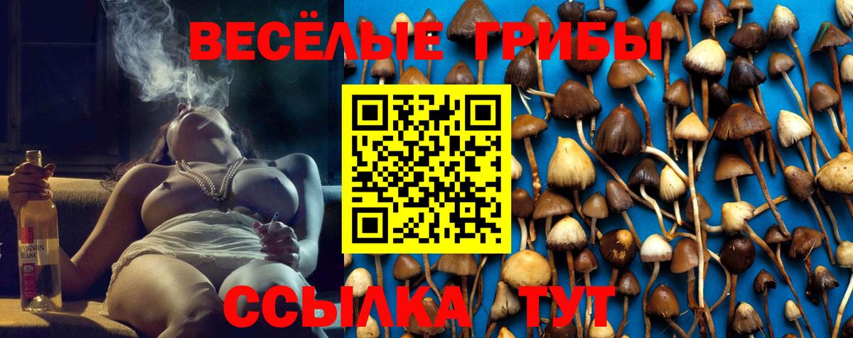 Галлюциногенные грибы прущие грибы  Вход с VPN  Нефтеюганск  Псилоцибиновые грибы GOLDEN TEACHER 